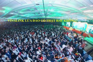 Vinalink lừa đảo có thật hay không?