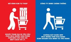 Kinh doanh đa cấp chân chính và đa cấp bất chính