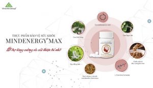 thuc-pham-bao-ve-tri-nho-mindenegy-max