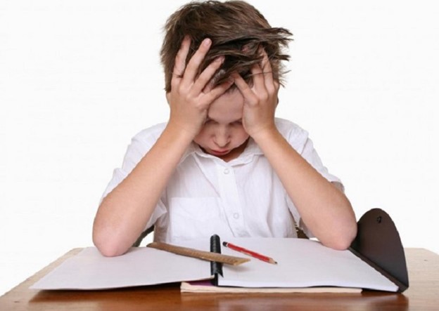 Chăm sóc trí não cho con em mình trong mùa thi cử nhiều bậc phụ huynh đang quan tâm Chăm sóc trí não cho con em mình trong mùa thi cử nhiều bậc phụ huynh đang quan tâm
